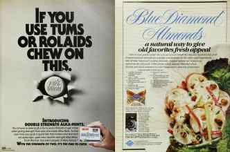 Better Homes & Gardens May 1985 Magazine Article: Page 95