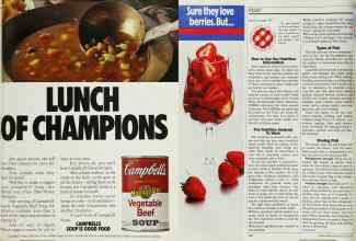 Better Homes & Gardens May 1985 Magazine Article: Page 141