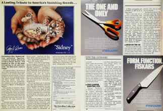 Better Homes & Gardens May 1985 Magazine Article: Page 185