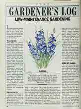 Better Homes & Gardens June 1985 Magazine Article: GARDENER'S LOG LOW-MAINTENANCE GARDENING