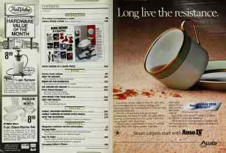 Better Homes & Gardens June 1985 Magazine Article: Page 4