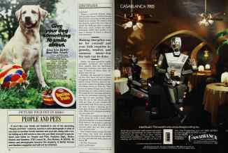 Better Homes & Gardens June 1985 Magazine Article: Page 66