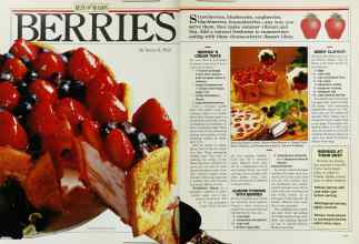 Better Homes & Gardens June 1985 Magazine Article: Page 116