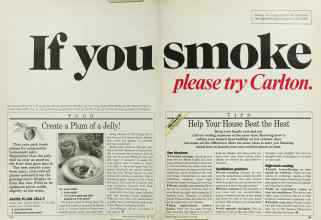 Better Homes & Gardens July 1985 Magazine Article: Page 124