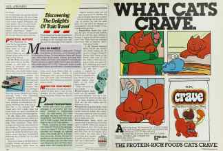 Better Homes & Gardens July 1985 Magazine Article: Page 134