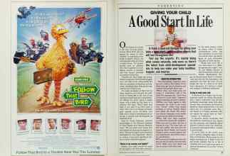 Better Homes & Gardens August 1985 Magazine Article: Page 24