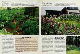 Better Homes & Gardens August 1985 Magazine Article: Page 58