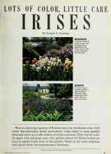 Better Homes & Gardens September 1985 Magazine Article: LOTS OF COLOR, LITTLE CARE IRISES