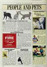 Better Homes & Gardens September 1985 Magazine Article: TOP DOGS IN THE CANINE KINGDOM