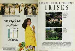 Better Homes & Gardens September 1985 Magazine Article: Page 90