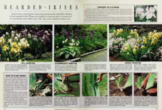 Better Homes & Gardens September 1985 Magazine Article: Page 92