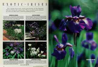 Better Homes & Gardens September 1985 Magazine Article: Page 94