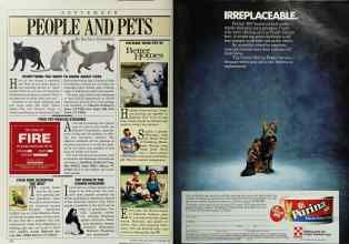 Better Homes & Gardens September 1985 Magazine Article: Page 154