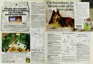 Better Homes & Gardens September 1985 Magazine Article: Page 162