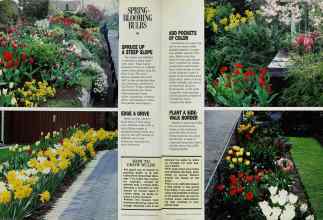 Better Homes & Gardens October 1985 Magazine Article: Page 76