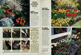 Better Homes & Gardens October 1985 Magazine Article: Page 78