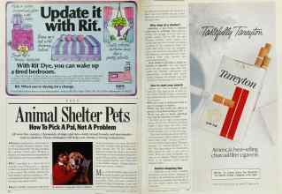 Better Homes & Gardens October 1985 Magazine Article: Animal Shelter Pets