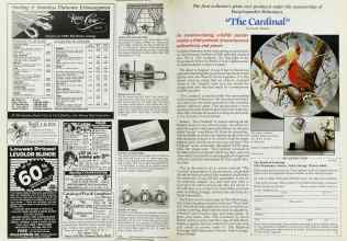 Better Homes & Gardens October 1985 Magazine Article: Page 174