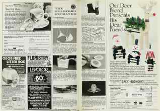 Better Homes & Gardens October 1985 Magazine Article: Page 176