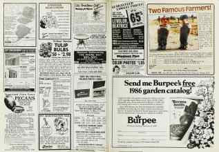Better Homes & Gardens October 1985 Magazine Article: Page 184