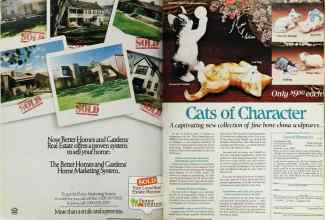 Better Homes & Gardens November 1985 Magazine Article: Page 14