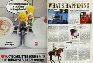 Better Homes & Gardens November 1985 Magazine Article: Page 22