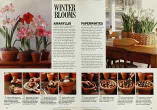 Better Homes & Gardens November 1985 Magazine Article: Page 114