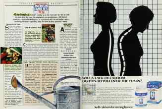 Better Homes & Gardens January 1986 Magazine Article: Page 40