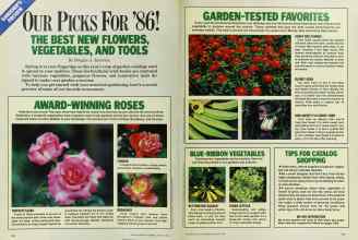 Better Homes & Gardens January 1986 Magazine Article: OUR PICKS FOR '86!