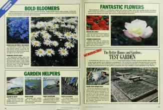 Better Homes & Gardens January 1986 Magazine Article: Page 78
