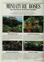 Better Homes & Gardens February 1986 Magazine Article: MINIATURE ROSES