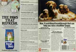 Better Homes & Gardens February 1986 Magazine Article: Page 24