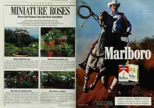 Better Homes & Gardens February 1986 Magazine Article: Page 156