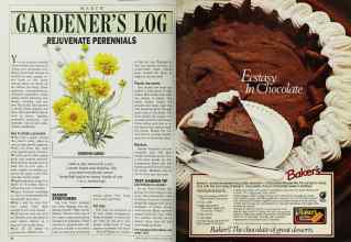 Better Homes & Gardens March 1986 Magazine Article: Page 58