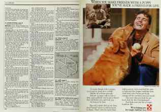 Better Homes & Gardens March 1986 Magazine Article: Page 162