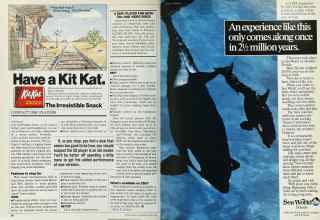 Better Homes & Gardens April 1986 Magazine Article: Page 56