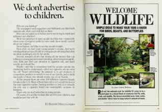 Better Homes & Gardens April 1986 Magazine Article: Page 82