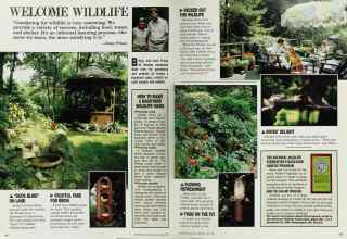 Better Homes & Gardens April 1986 Magazine Article: Page 84