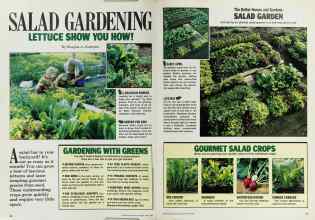 Better Homes & Gardens April 1986 Magazine Article: Page 92