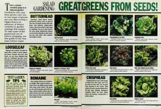 Better Homes & Gardens April 1986 Magazine Article: Page 94