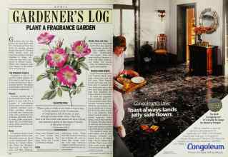 Better Homes & Gardens April 1986 Magazine Article: Page 148