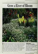 Better Homes & Gardens May 1986 Magazine Article: Grow a River of Bloom
