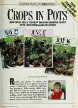 Better Homes & Gardens May 1986 Magazine Article: CROPS IN POTS