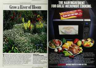 Better Homes & Gardens May 1986 Magazine Article: Page 20