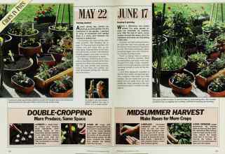 Better Homes & Gardens May 1986 Magazine Article: Page 122