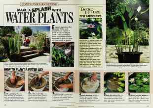 Better Homes & Gardens May 1986 Magazine Article: MAKE A SPLASH WITH WATER PLANTS
