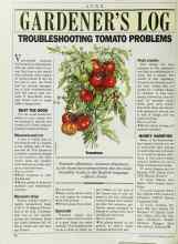 Better Homes & Gardens June 1986 Magazine Article: GARDENER'S LOG