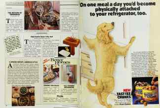 Better Homes & Gardens June 1986 Magazine Article: Page 20