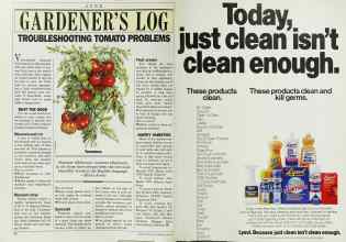 Better Homes & Gardens June 1986 Magazine Article: Page 24