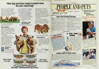 Better Homes & Gardens June 1986 Magazine Article: Page 38